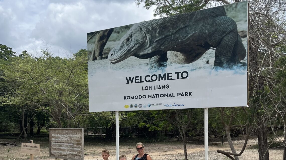 Komodo Veraner og Manta Rays.